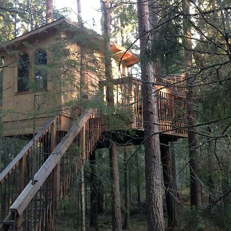 Urnatur Eco Treehouse Lodge Odeshog Bagian luar foto