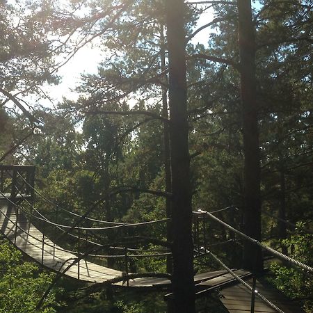 Urnatur Eco Treehouse Lodge Odeshog Bagian luar foto