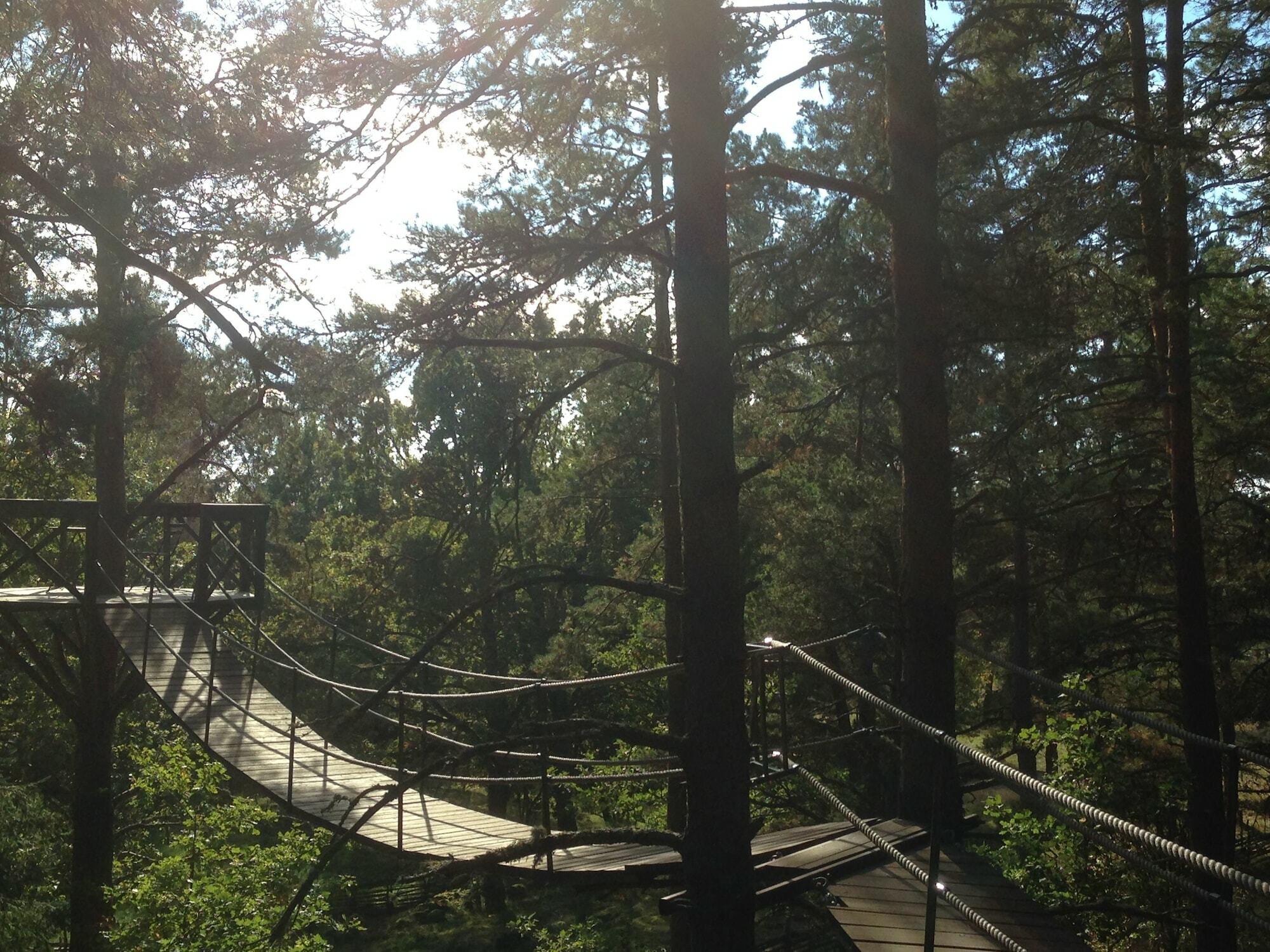 Urnatur Eco Treehouse Lodge Odeshog Bagian luar foto